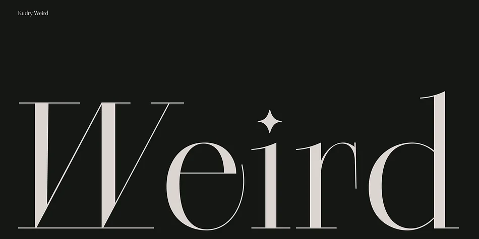 Kudry by ParaType — Display Font — thumbnail 4