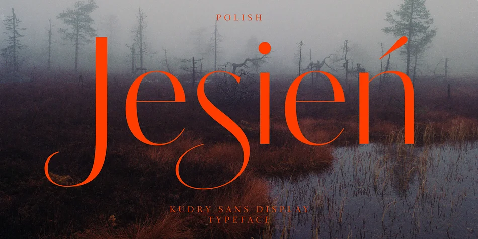 Kudry by ParaType — Display Font — thumbnail 5