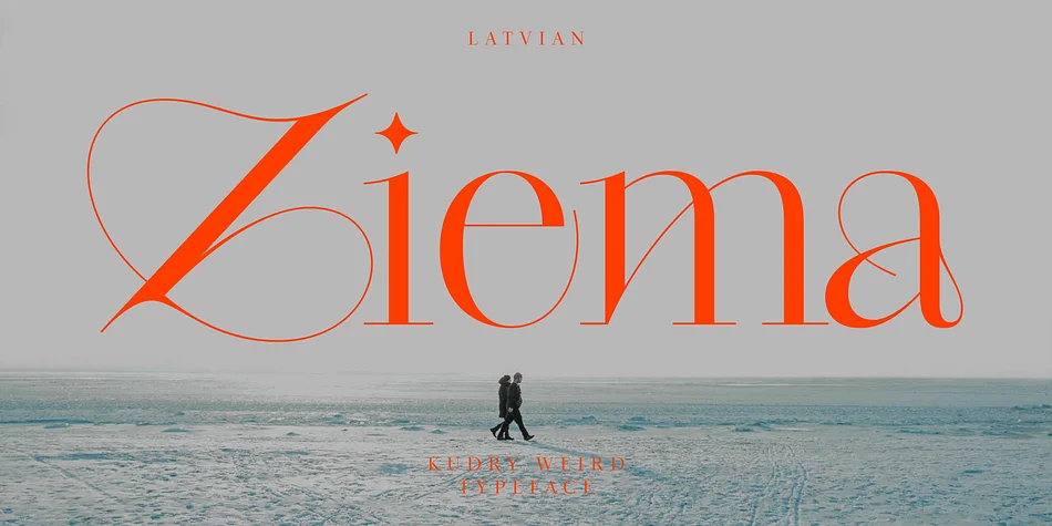 Kudry by ParaType — Display Font — thumbnail 7