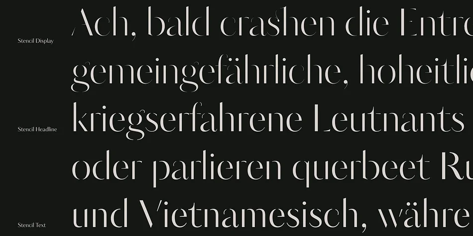 Kudry by ParaType — Display Font — thumbnail 8