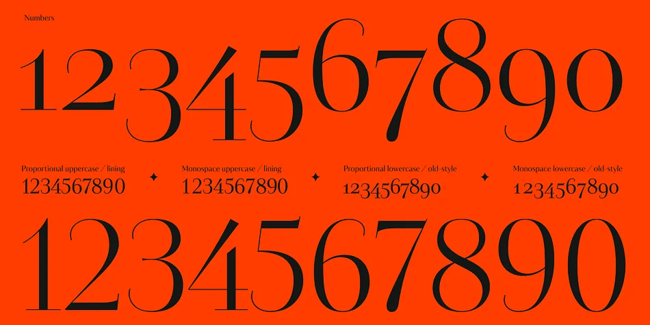 Kudry by ParaType — Display Font — thumbnail 9