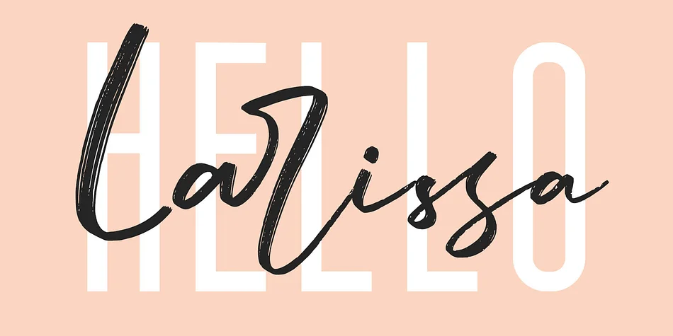 Larissa by Craft Supply Co. — Display Font — thumbnail 4