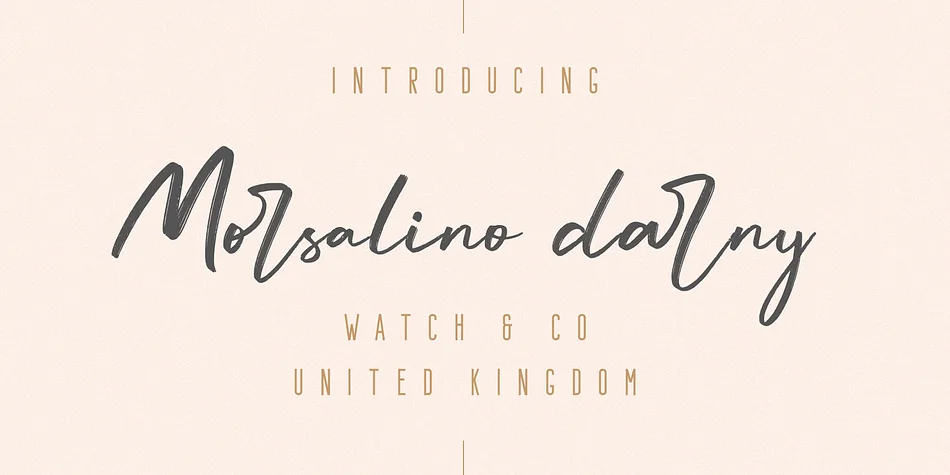 Larissa by Craft Supply Co. — Display Font — thumbnail 5