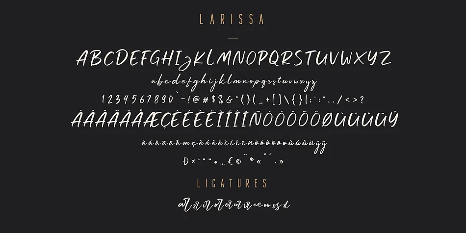 Larissa by Craft Supply Co. — Display Font — thumbnail 6