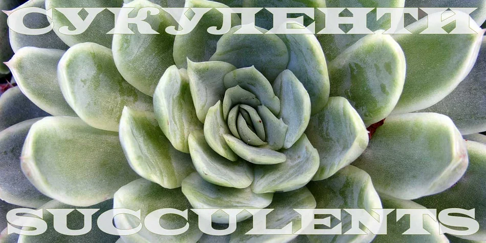 Latin CT by CastleType — Decorative Font — thumbnail 9