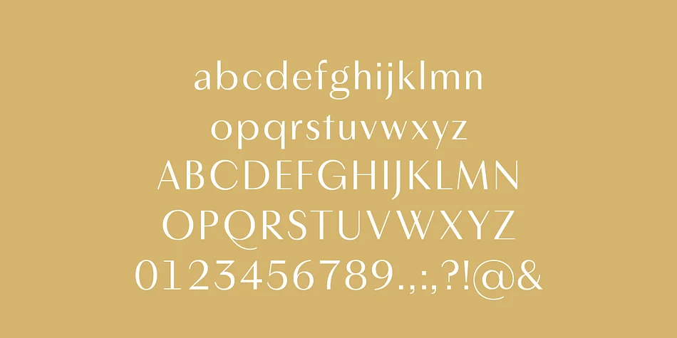 Layfort by Identity Letters — Decorative Font — thumbnail 10