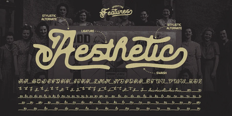 Leather Necks by Dharmas Studio — Script Handwritten Font — thumbnail 6