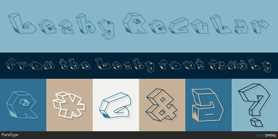 Leshy by ParaType — Display Font