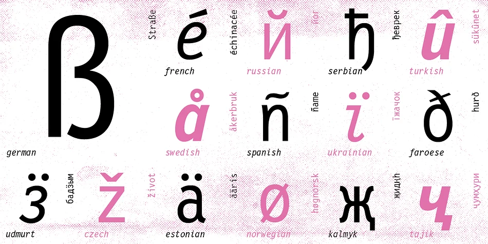 Letter Gothic 12 Pitch by ParaType — Decorative Font — thumbnail 4