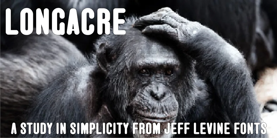 LONGACRE JNL by Jeff Levine Fonts — Display Font