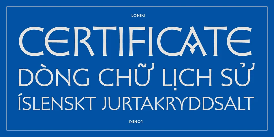 LONIKI by Delve Fonts — Dingbats Font — thumbnail 5
