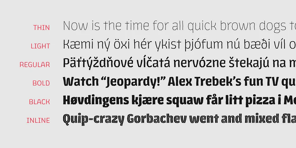 Los Lana Niu by Latinotype — Display Font — thumbnail 7