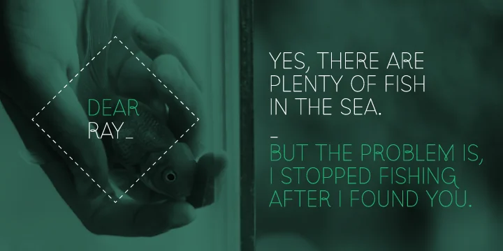 Los Niches by Latinotype — Display Font — thumbnail 4