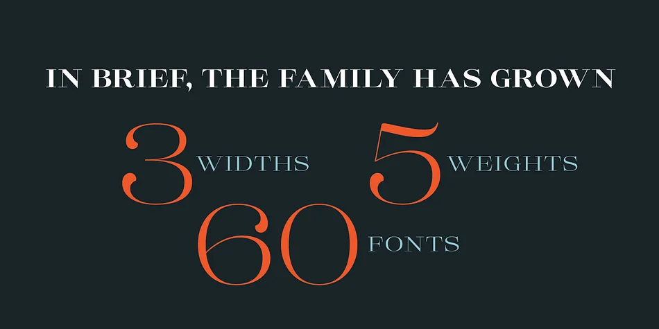 Lust Pro Didone by Positype — Decorative Font — thumbnail 5