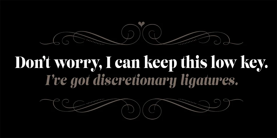 Lust Slim by Positype — Decorative Font — thumbnail 4