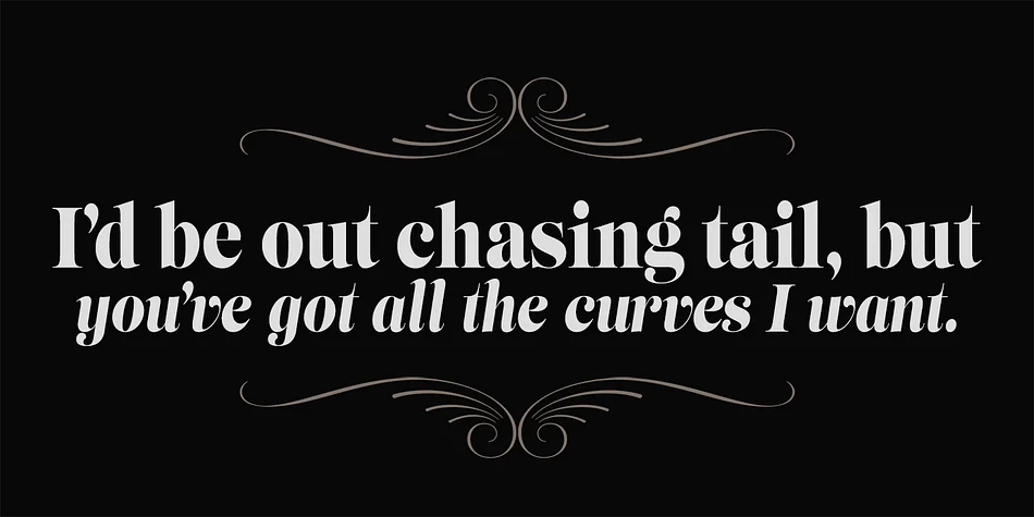 Lust Slim by Positype — Decorative Font — thumbnail 8