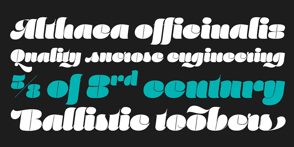 Marshmallow by Positype — Display Font — thumbnail 9