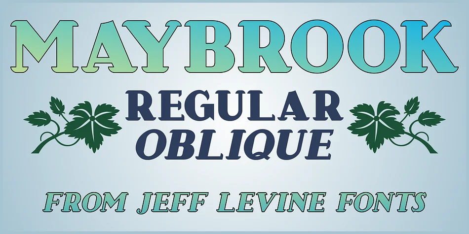 MAYBROOK JNL by Jeff Levine Fonts — Display Font