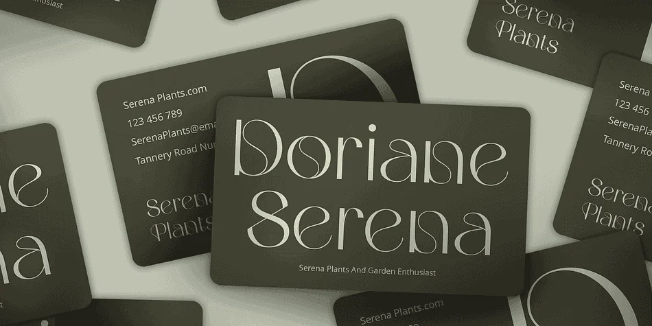 Merivale by Craft Supply Co. — Decorative Font — thumbnail 5