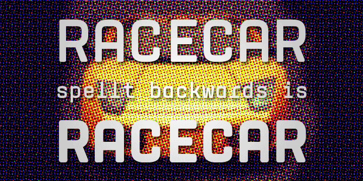 Mingray Mono by Rekord — Decorative Font