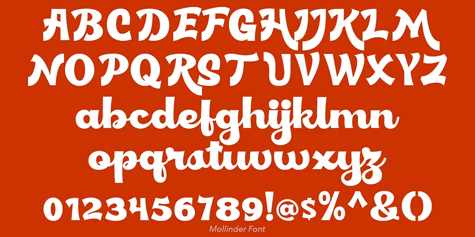 Mollinder by TypeClassHeroes — Script Handwritten Font — thumbnail 5