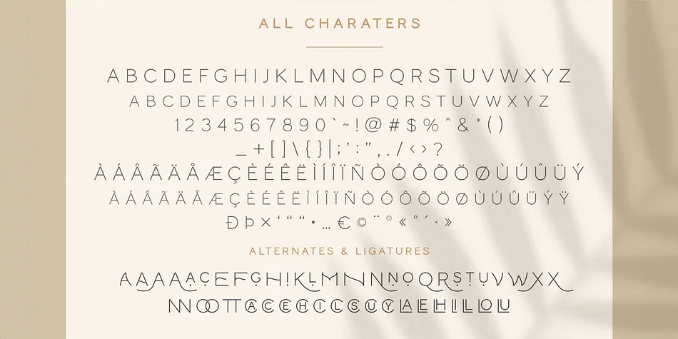 Monocole by Craft Supply Co. — Display Font — thumbnail 6