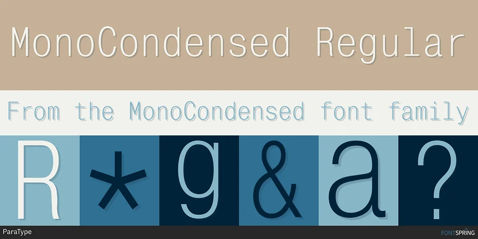 MonoCondensed by ParaType β Decorative Font