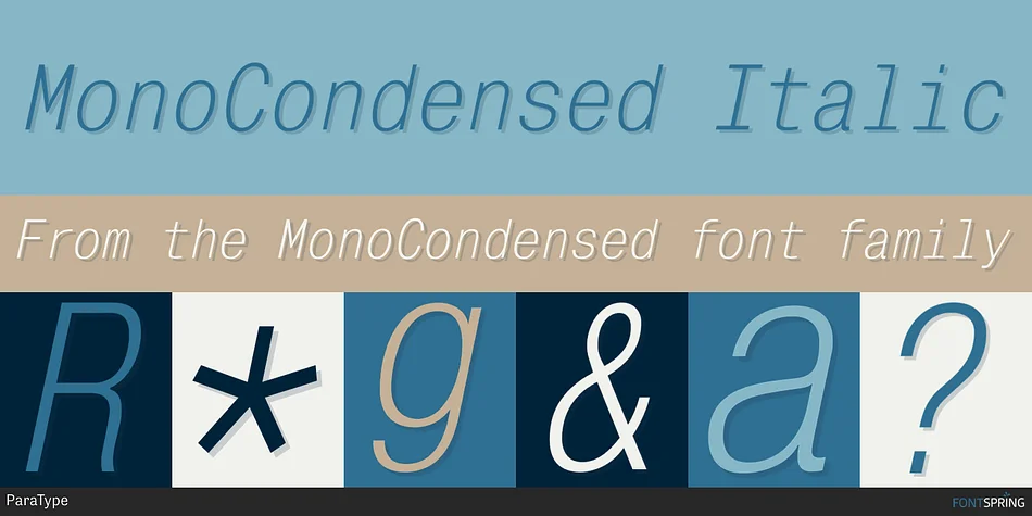 MonoCondensed by ParaType — Decorative Font — thumbnail 2