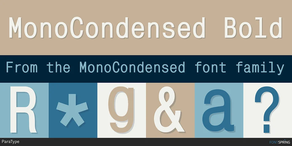 MonoCondensed by ParaType — Decorative Font — thumbnail 3