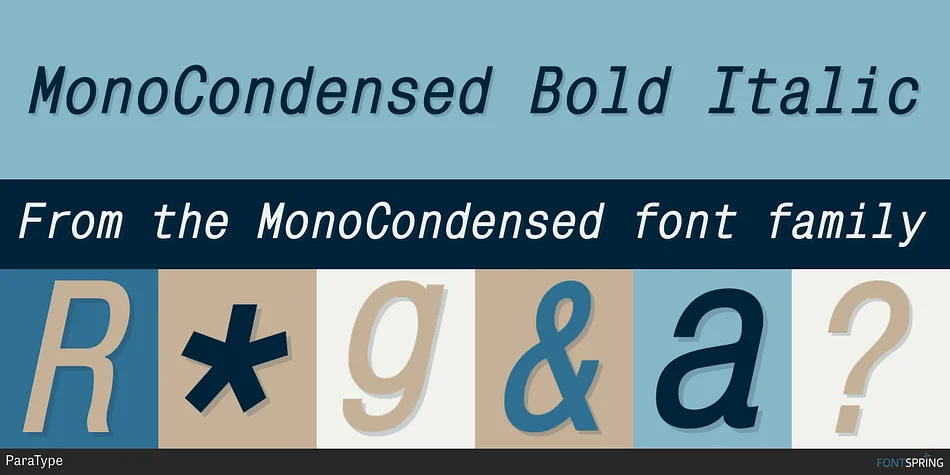 MonoCondensed by ParaType — Decorative Font — thumbnail 4