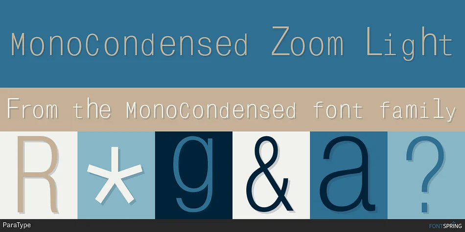 MonoCondensed by ParaType — Decorative Font — thumbnail 5
