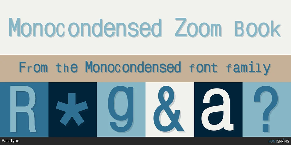 MonoCondensed by ParaType — Decorative Font — thumbnail 6