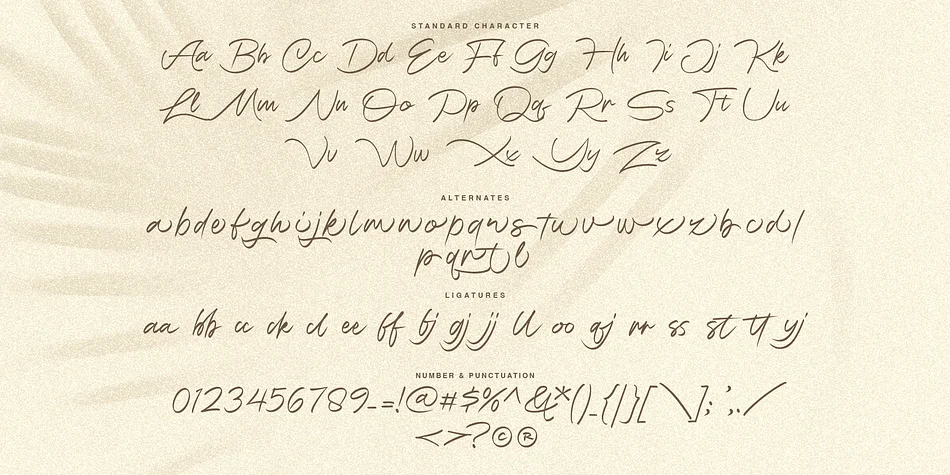 Moonlight Breeze by Jolicia Type — Script Handwritten Font — thumbnail 7