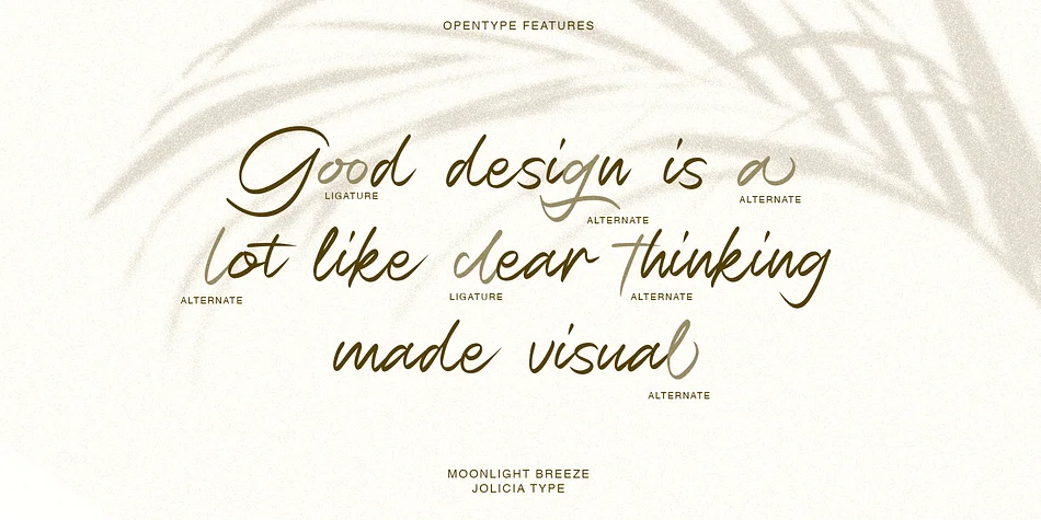 Moonlight Breeze by Jolicia Type — Script Handwritten Font — thumbnail 9