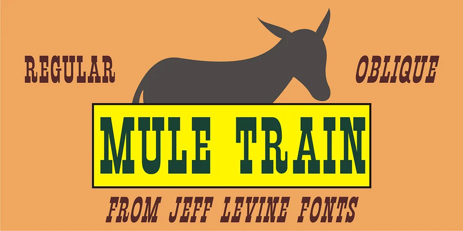 MULE TRAIN JNL by Jeff Levine Fonts — Decorative Font
