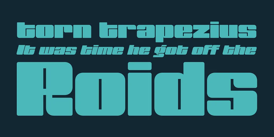 Muscle by Positype — Display Font — thumbnail 2