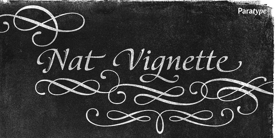 Nat Vignette by ParaType — Dingbats Font