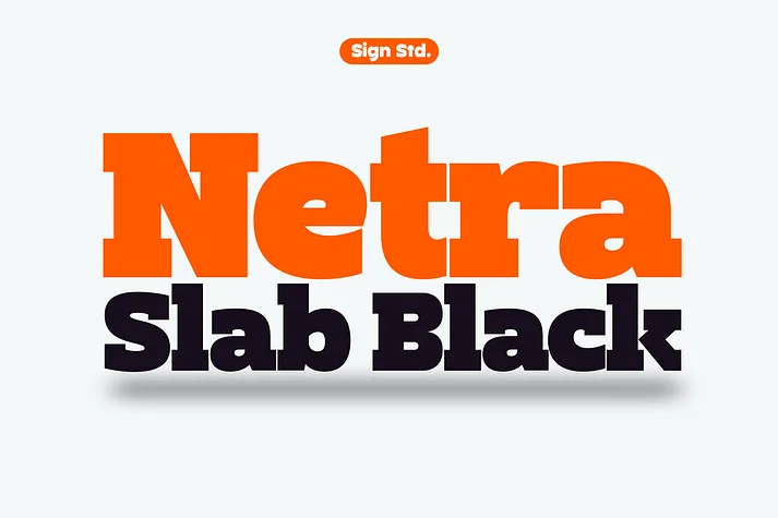 Netra by Sign Studio — Decorative Font