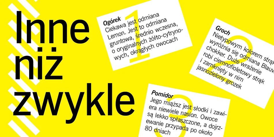 News Gothic by ParaType — Display Font — thumbnail 6