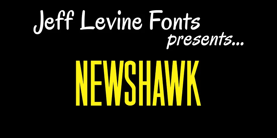 NEWSHAWK JNL by Jeff Levine Fonts — Display Font
