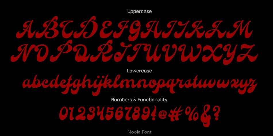 Noola by TypeClassHeroes — Script Handwritten Font — thumbnail 5