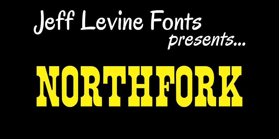 NORTHFORK JNL by Jeff Levine Fonts — Decorative Font