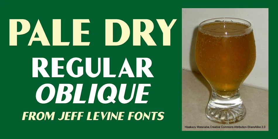 PALE DRY JNL by Jeff Levine Fonts — Display Font