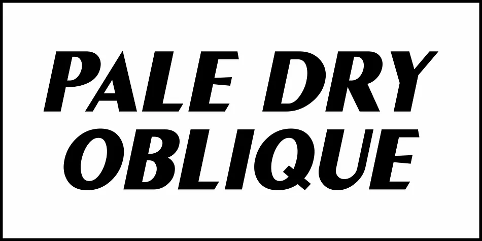 PALE DRY JNL by Jeff Levine Fonts — Display Font — thumbnail 4
