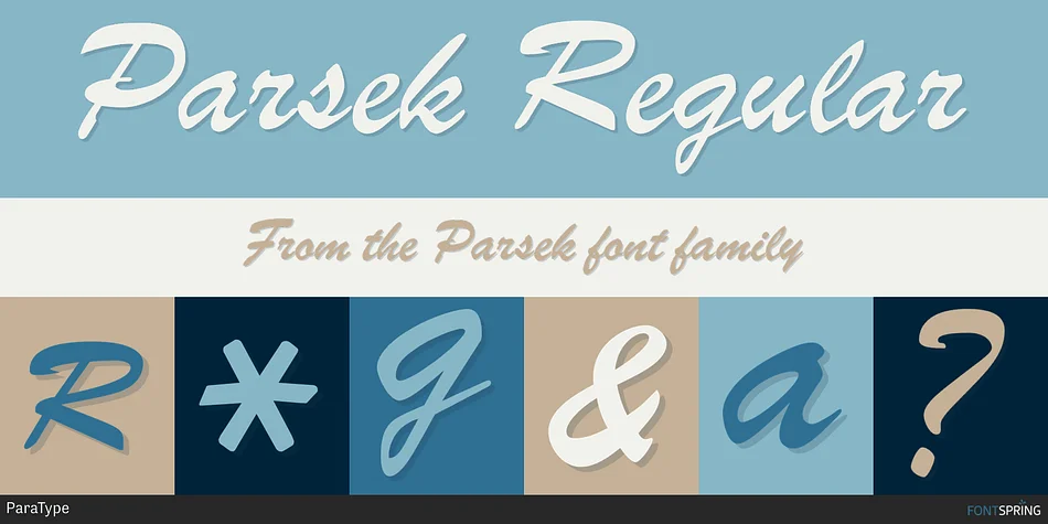 Parsek by ParaType — Script Handwritten Font