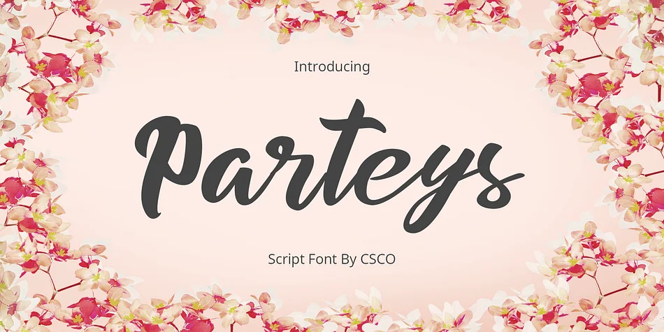 Parteys by Craft Supply Co. — Script Handwritten Font