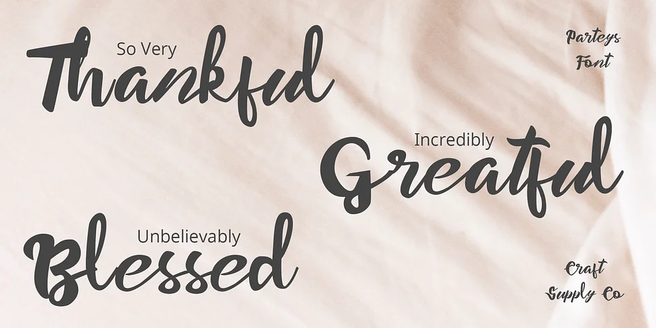 Parteys by Craft Supply Co. — Script Handwritten Font — thumbnail 4