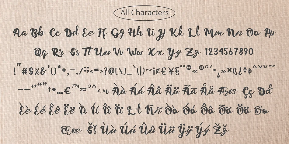 Parteys by Craft Supply Co. — Script Handwritten Font — thumbnail 6