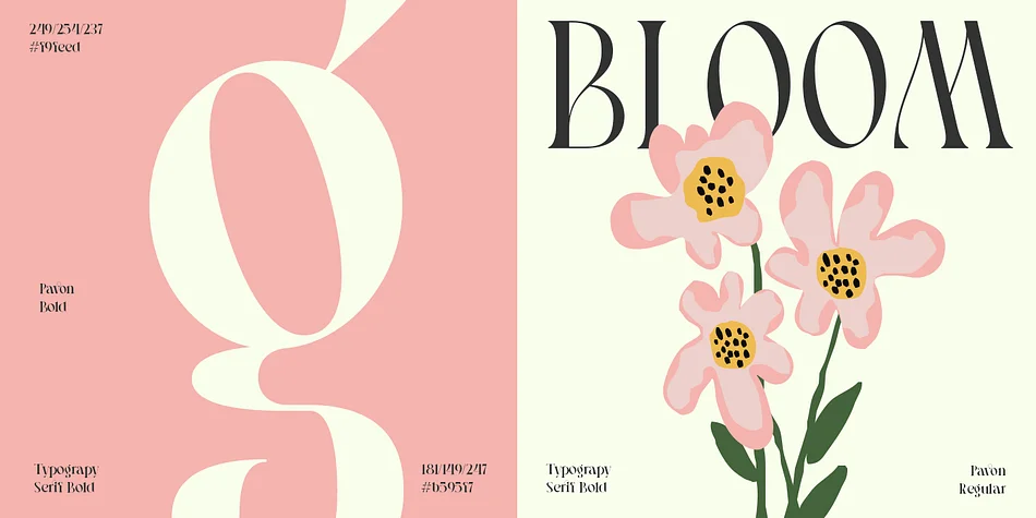 Pavon by Dharmas Studio — Display Font — thumbnail 6