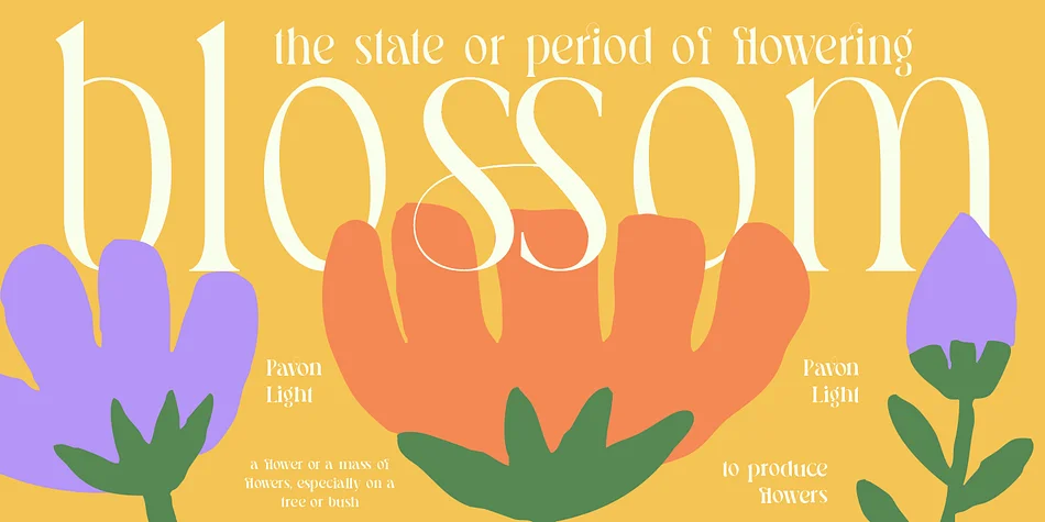 Pavon by Dharmas Studio — Display Font — thumbnail 7